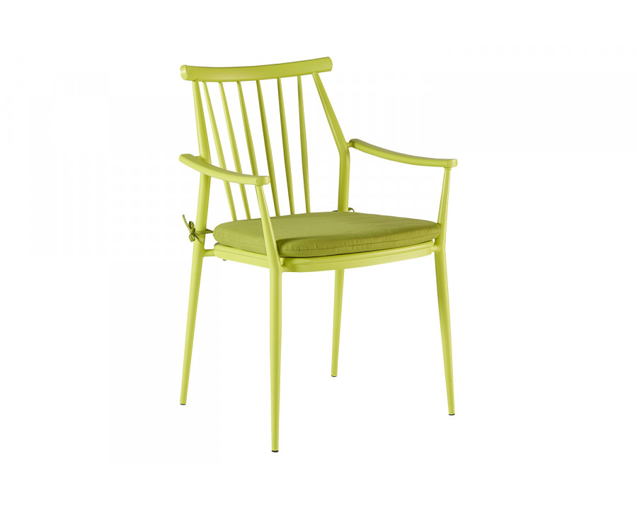 A.R.T. - Epicenters Austin Paint Green Darrow Outdoor Arm Chair Set of 2