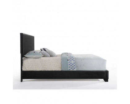 ACME Ireland III Queen Bed - Black PU