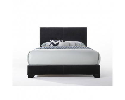 ACME Ireland III Queen Bed - Black PU