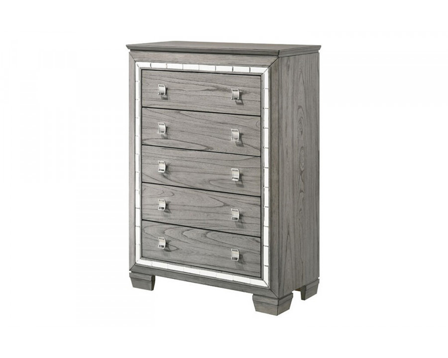 ACME - Antares Chest in Light Gray Oak