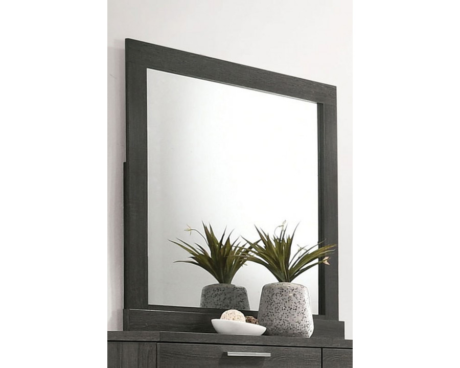 ACME - Lantha Mirror in Gray Oak