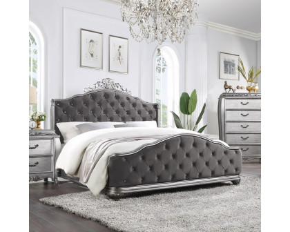 ACME Leonora CK Bed - Velvet/Vintage Platinum