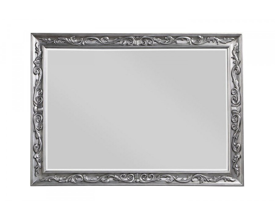 ACME - Leonora Mirror in Vintage Platinum