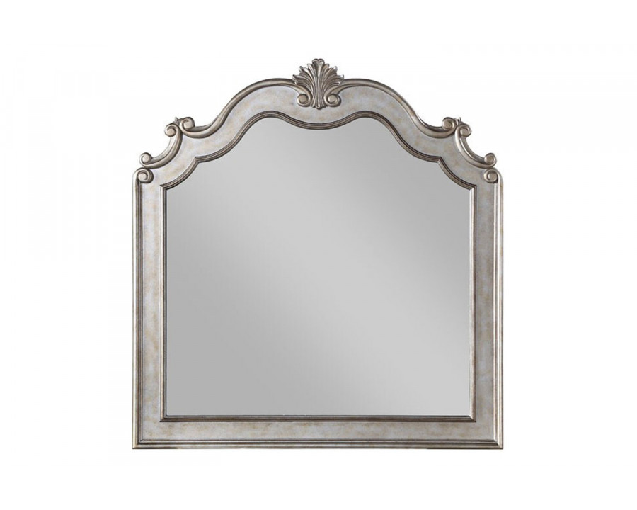 ACME - Esteban Mirror in Antique Champagne (22204)