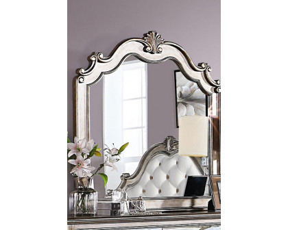 ACME - Esteban Mirror in Antique Champagne (22204)