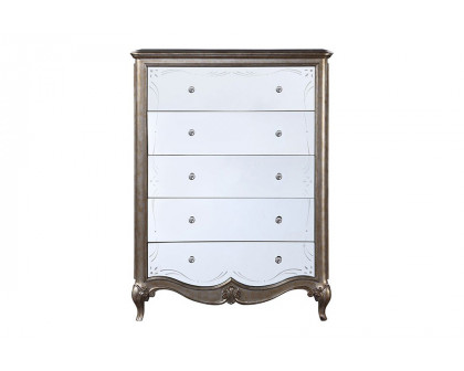 ACME - Esteban Chest in Antique Champagne