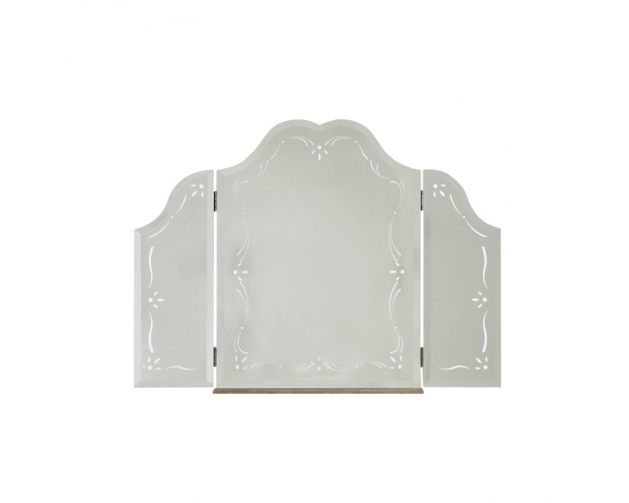 ACME - Esteban Vanity Mirror in Mirrored