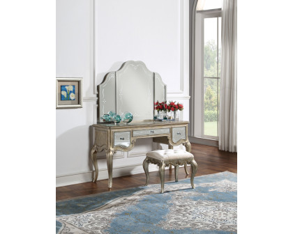 ACME - Esteban Vanity Mirror in Mirrored