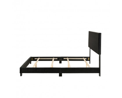 ACME Lien Queen Bed - Black