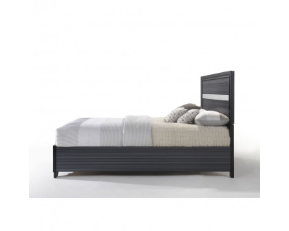 ACME Naima Queen Bed with Storage - Black