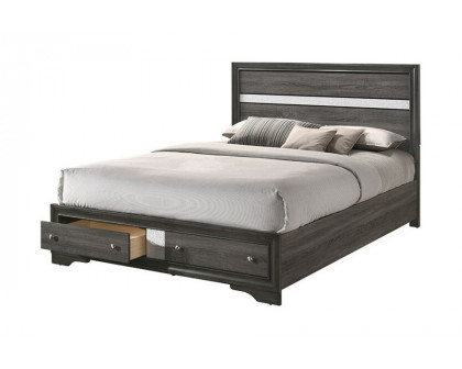 ACME - Naima Panel Storage Bed