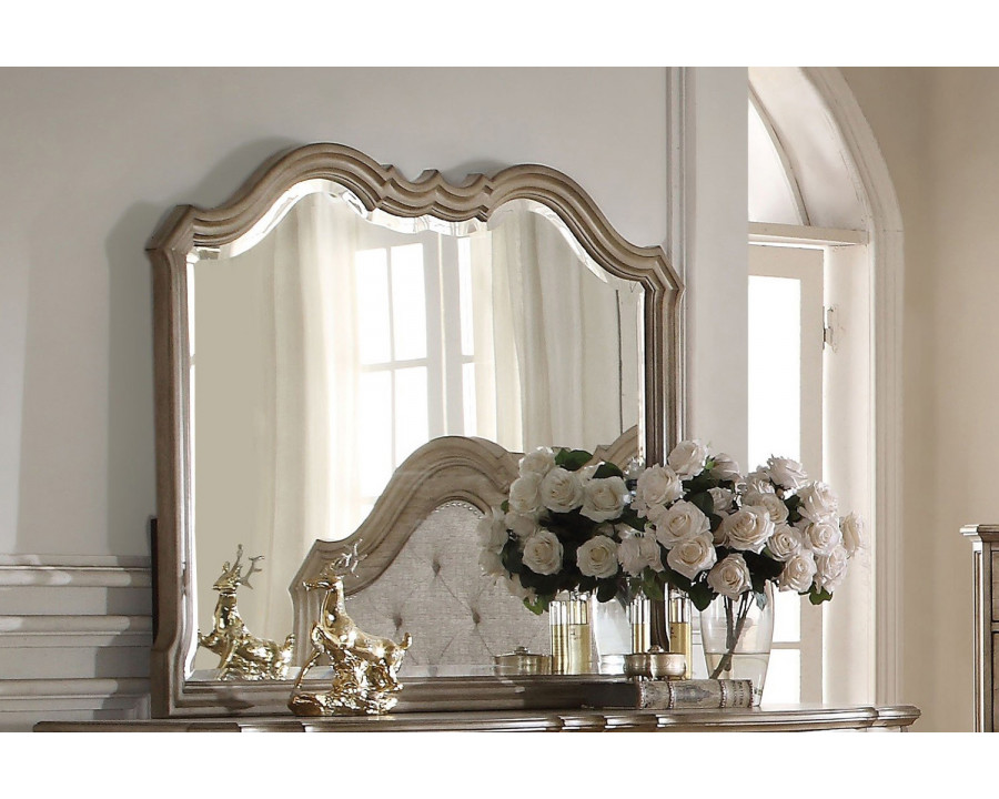 ACME Chelmsford Mirror - Antique Taupe