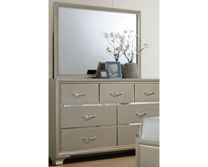 ACME - Carine Dresser