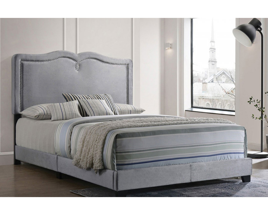 ACME - Reuben Queen Bed in Gray