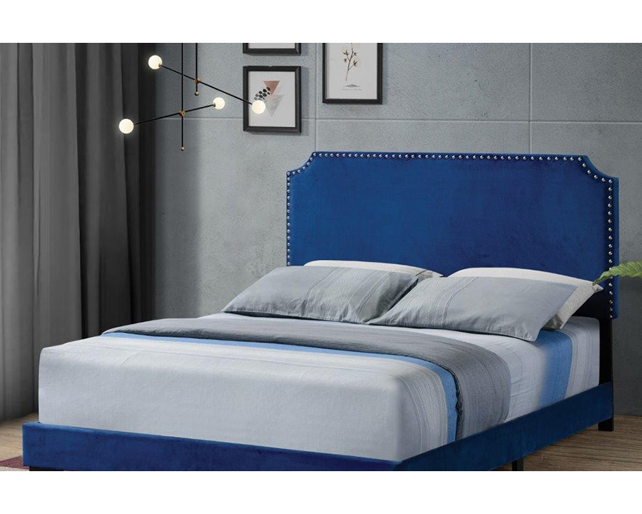 ACME Haemon Queen Bed - Blue Velvet