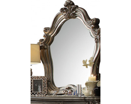 ACME Versailles Mirror - Antique Platinum Silver