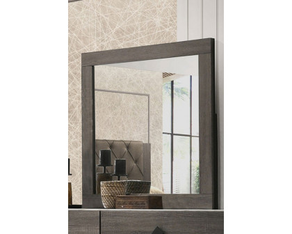 ACME™ Avantika Mirror - Rustic Gray Oak