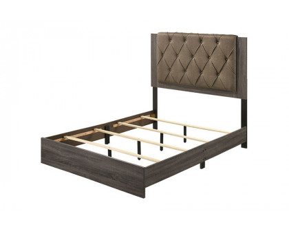 ACME Avantika Panel Bed - Queen Size