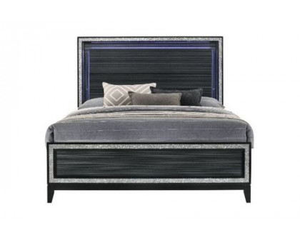 ACME - Haiden Bed with Led