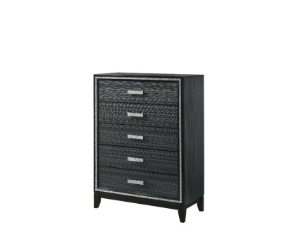 ACME - Haiden Chest