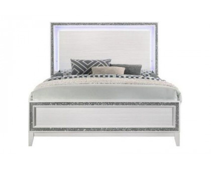 ACME - Haiden Bed with Led