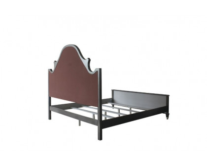 ACME House Beatrice CK Bed - Two Tone Beige Charcoal/Light Gray