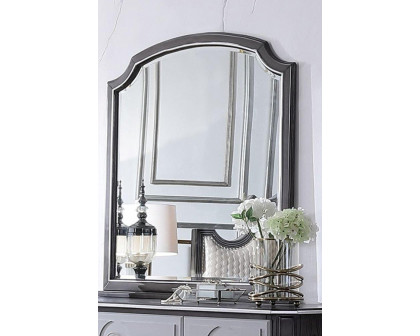 ACME - House Beatrice Mirror in Charcoal