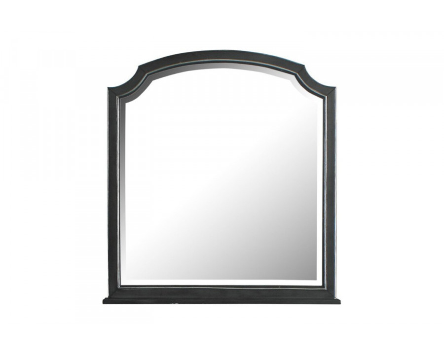 ACME - House Beatrice Mirror in Charcoal