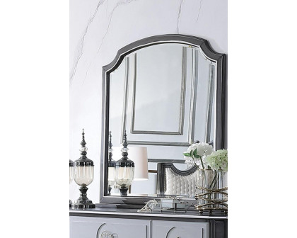 ACME - House Beatrice Mirror in Charcoal