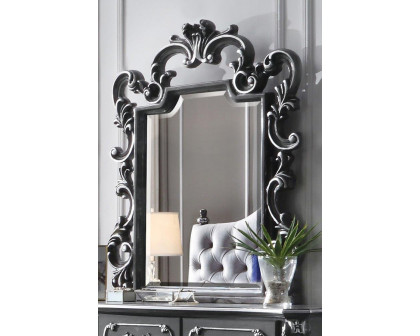 ACME - House Delphine Mirror in Charcoal