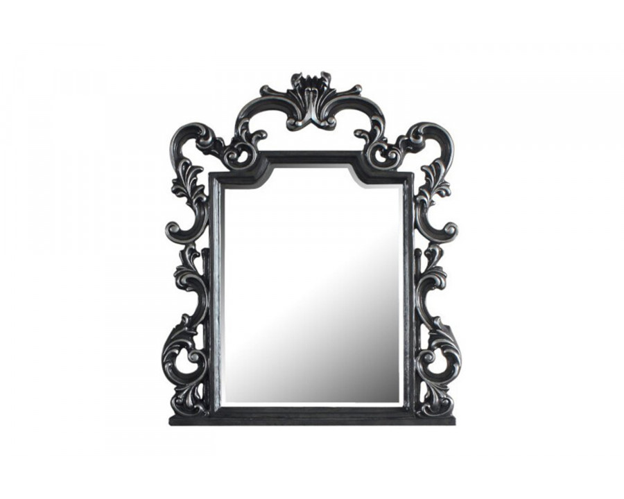 ACME - House Delphine Mirror in Charcoal