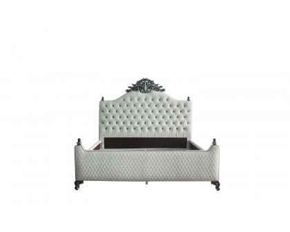 ACME - House Delphine Queen Bed in Two Tone Ivory Charcoal