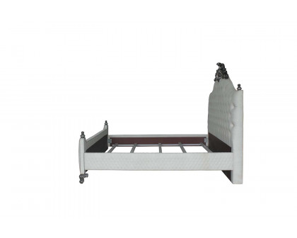 ACME - House Delphine Queen Bed in Two Tone Ivory Charcoal