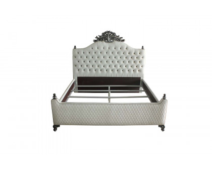 ACME - House Delphine Queen Bed in Two Tone Ivory Charcoal