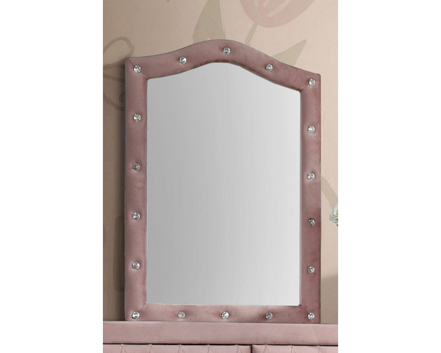 ACME - Reggie Mirror in Pink