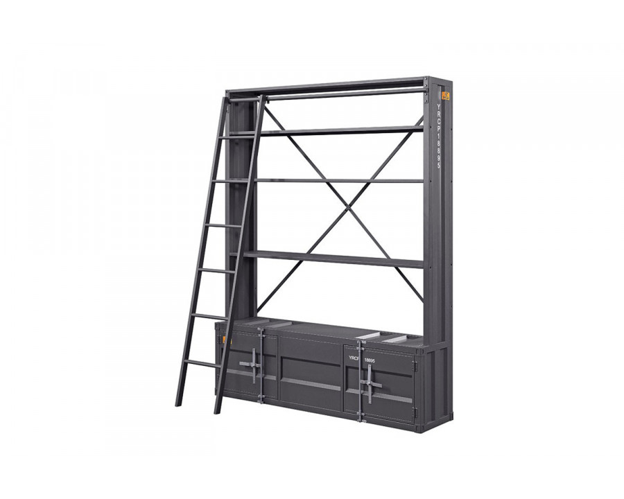 ACME - Cargo Youth Bookshelf with Ladder