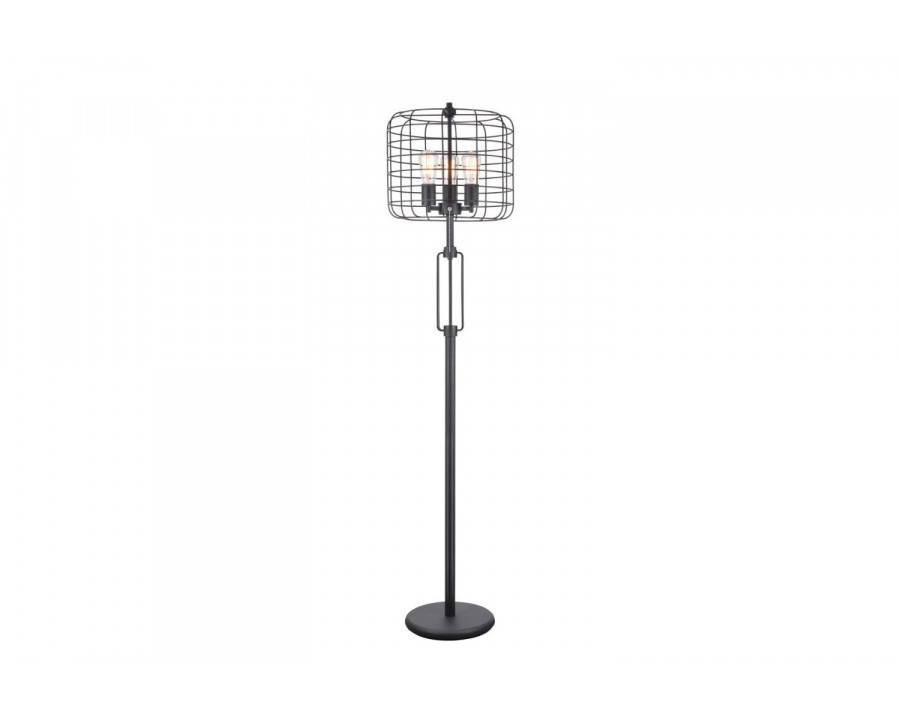 ACME - Manus Floor Lamp in Black