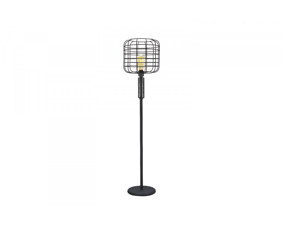 ACME - Marek Floor Lamp in Black