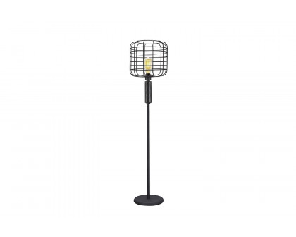 ACME - Marek Floor Lamp in Black