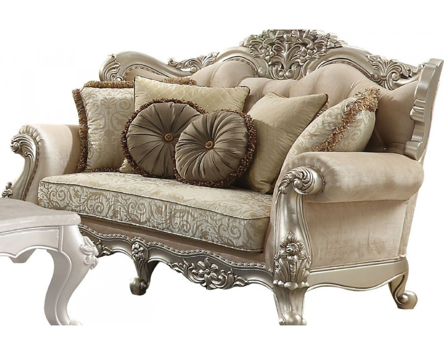 ACME - Bently Loveseat with 5 Pillows  (Same LV01580) in Champagne