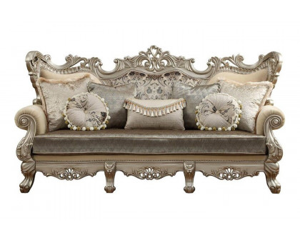 ACME - Ranita Sofa with 7 Pillows in Champagne