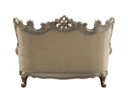 ACME - Ranita Loveseat with 6 Pillows in Champagne