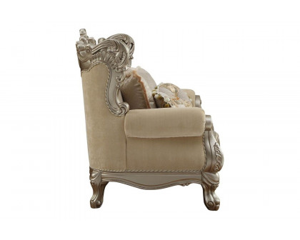 ACME - Ranita Loveseat with 6 Pillows in Champagne