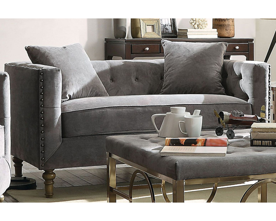 ACME - Sidonia Loveseat with 2 Pillows in Gray