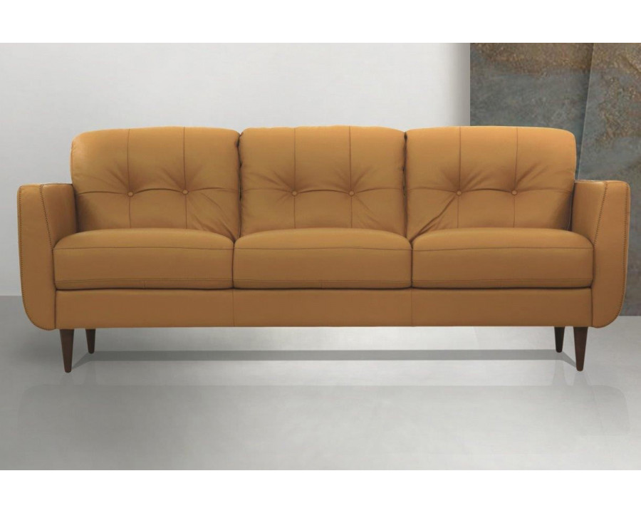 ACME - Radwan Leather Sofa