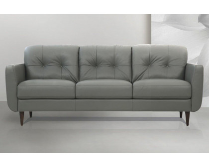 ACME - Radwan Leather Sofa