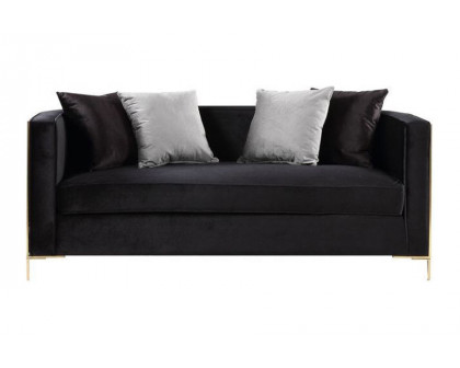 ACME - Fergal Loveseat with 4 Pillows in Black/Gold