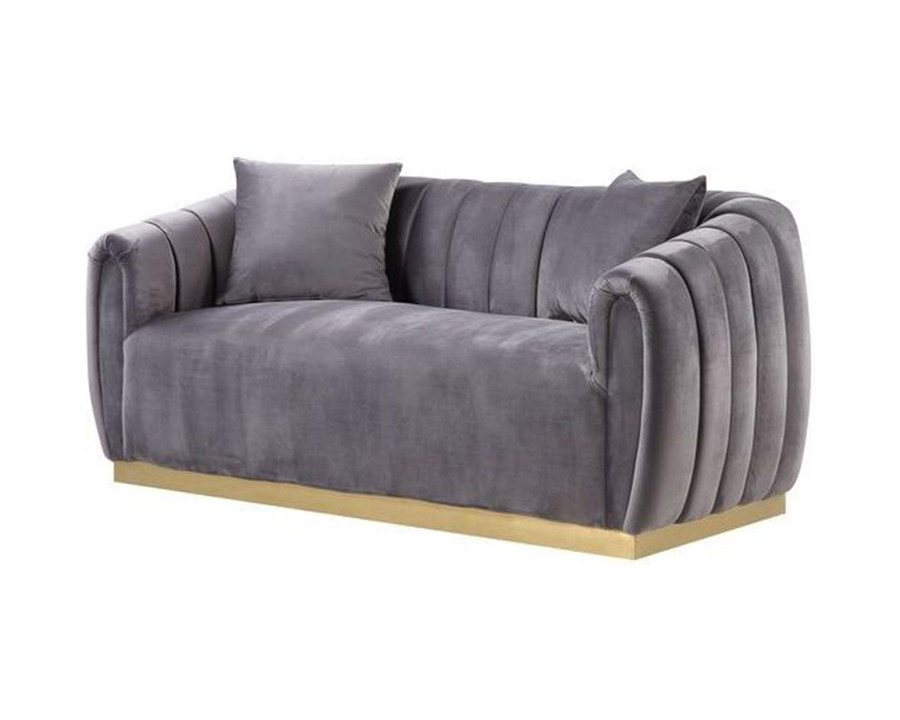 ACME - Elchanon Loveseat with 2 Pillows in Gray/Gold