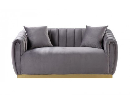 ACME - Elchanon Loveseat with 2 Pillows in Gray/Gold