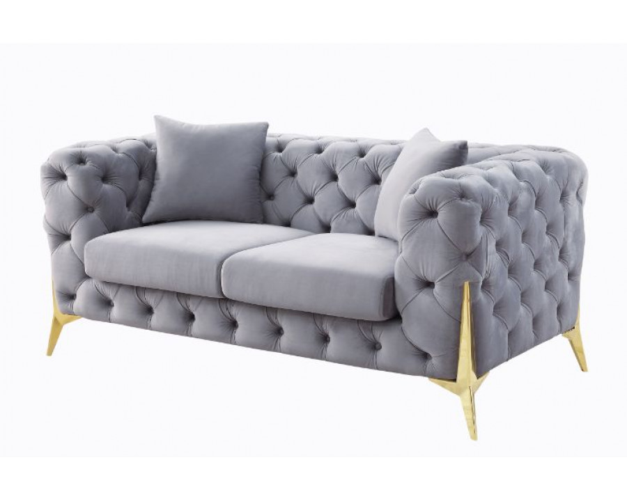 ACME - Jelanea Loveseat with 2 Pillows (Same As Lv01407) in Gray Velvet/Gold